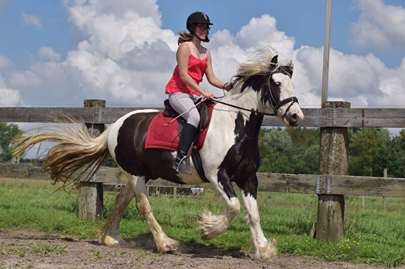 Afbeelding