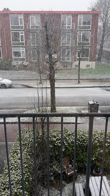 Afbeelding