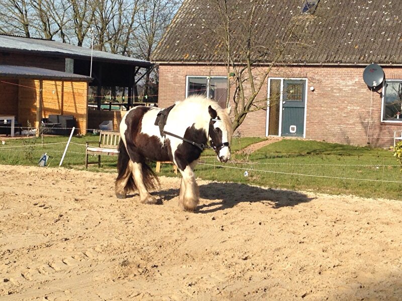 Afbeelding