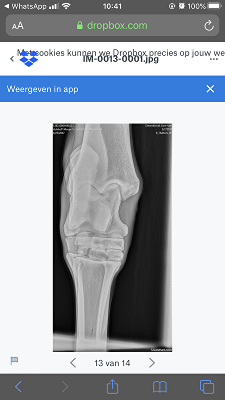 Afbeelding