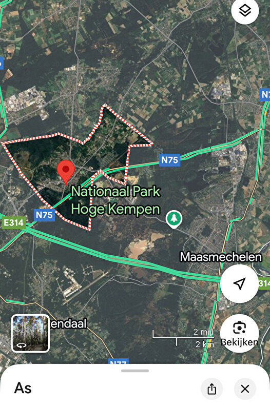 Afbeelding