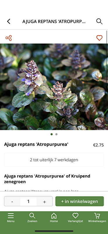 Afbeelding
