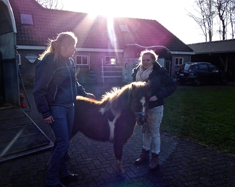 Afbeelding