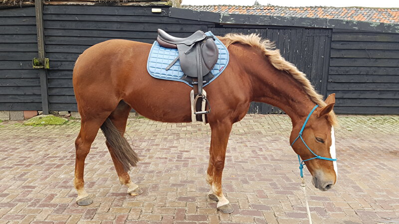 Afbeelding