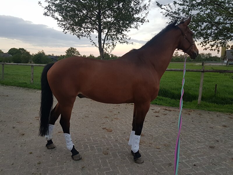 Afbeelding