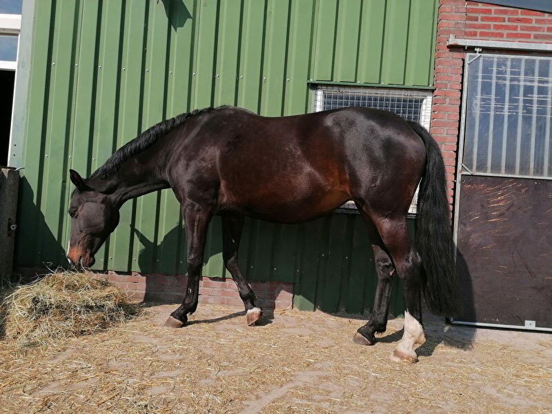 Afbeelding