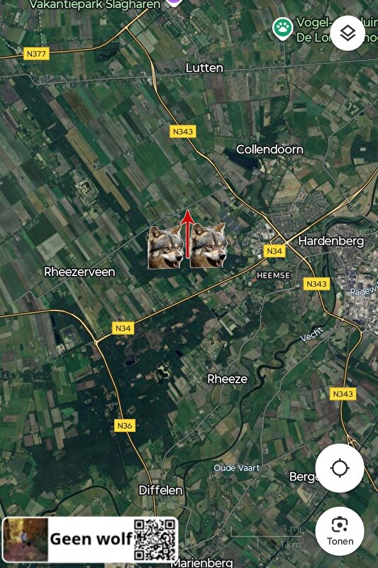 Afbeelding