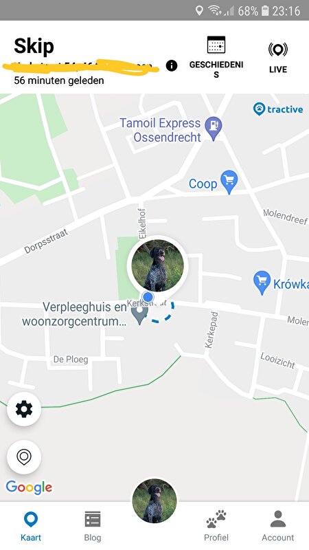 Afbeelding