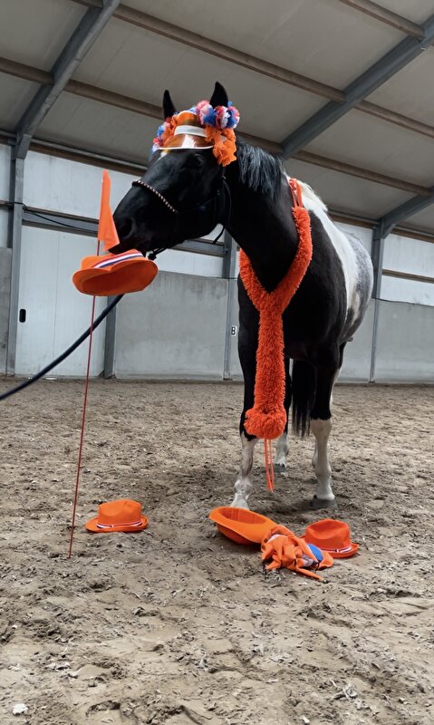 Afbeelding