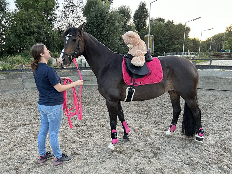 Afbeelding
