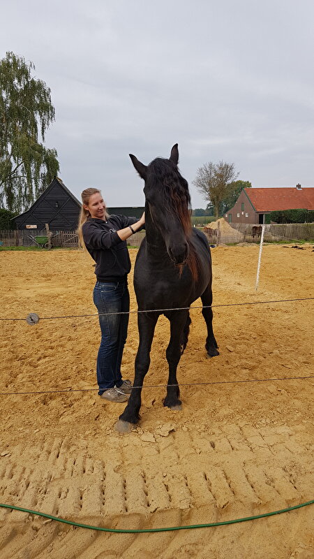 Afbeelding