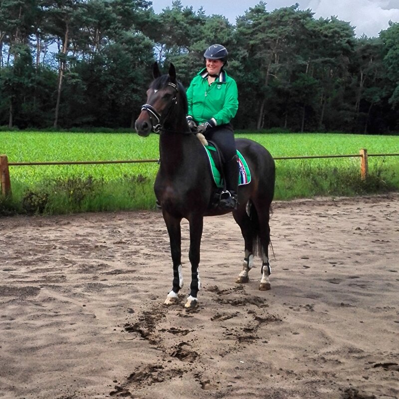 Afbeelding
