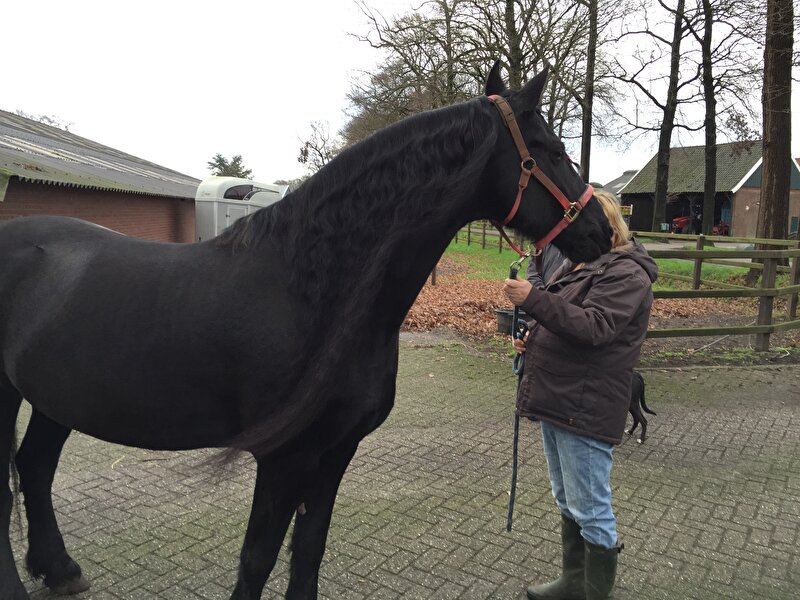 Afbeelding