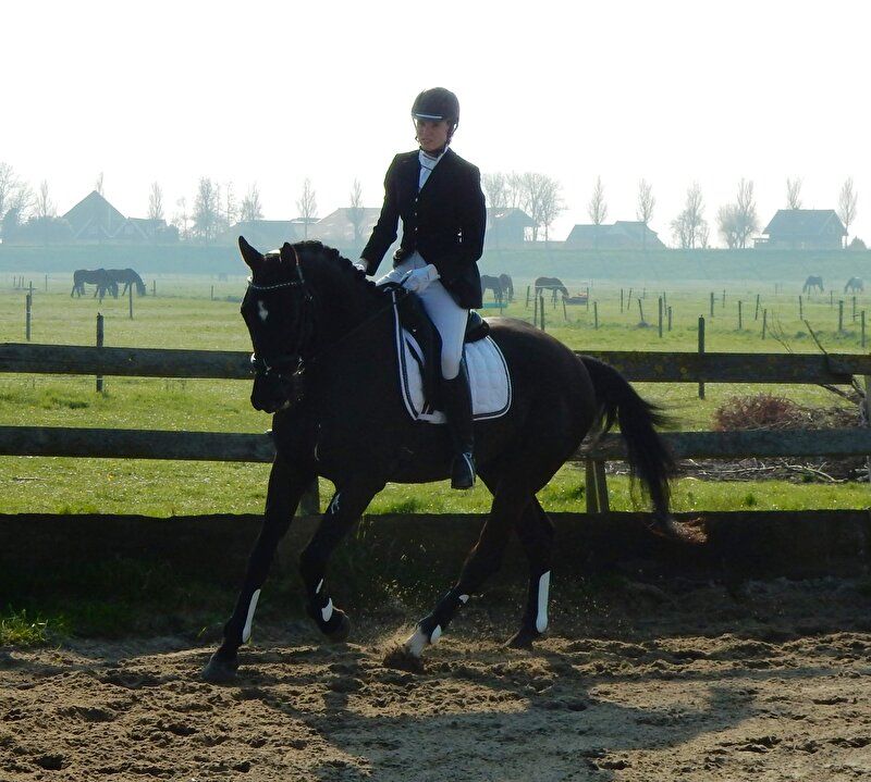 Afbeelding