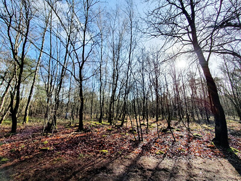 Afbeelding
