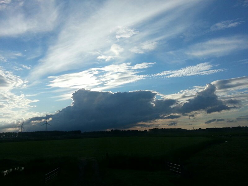 Afbeelding