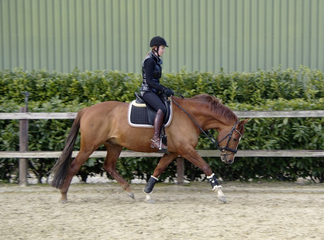 Afbeelding