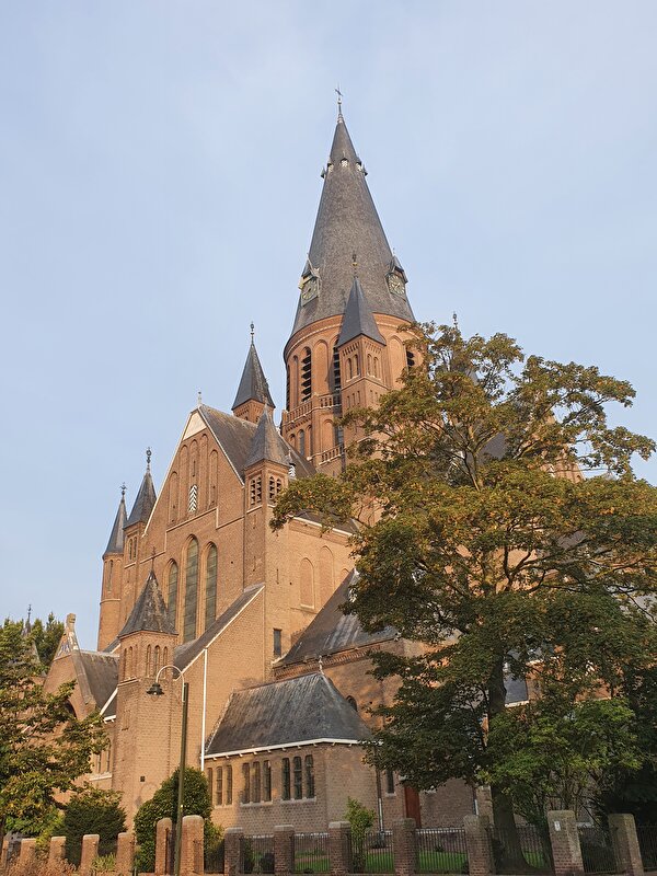Afbeelding