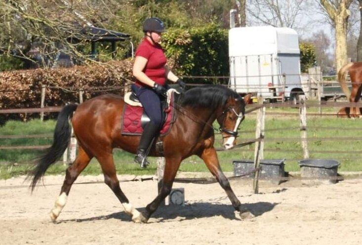 Afbeelding