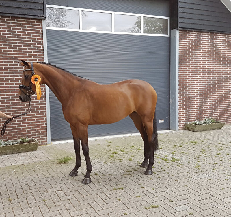 Afbeelding