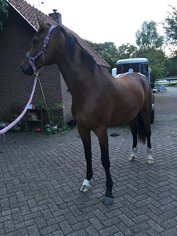 Afbeelding