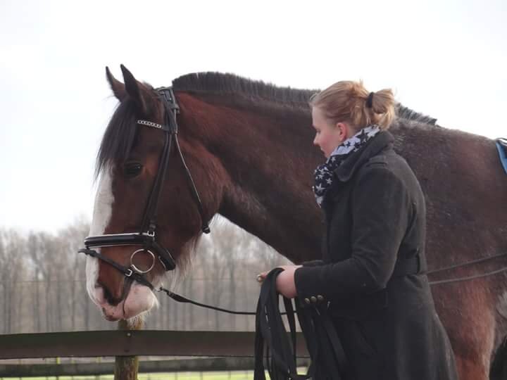 Afbeelding