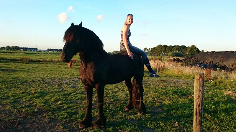 Afbeelding