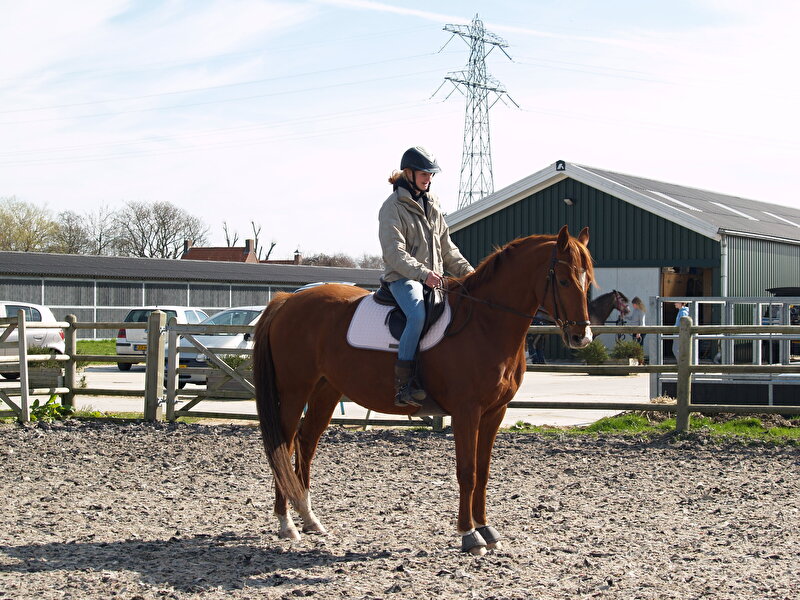 Afbeelding