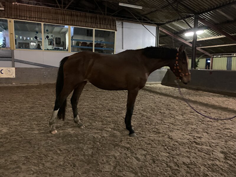 Afbeelding