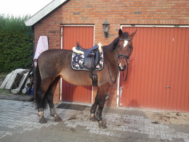 Afbeelding