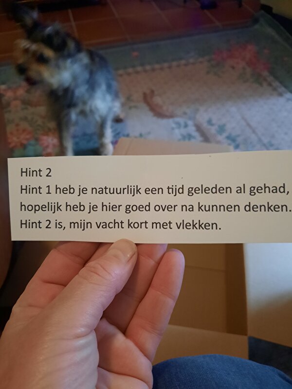Afbeelding