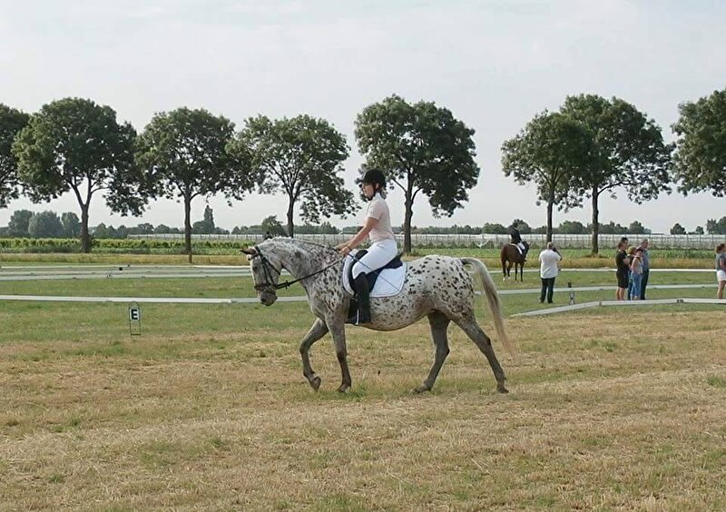 Afbeelding