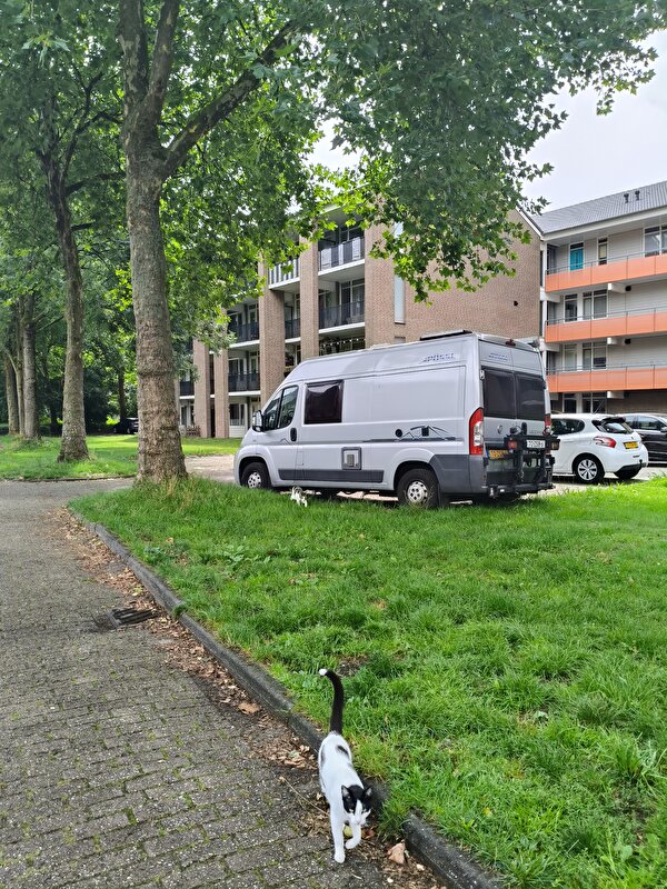 Afbeelding
