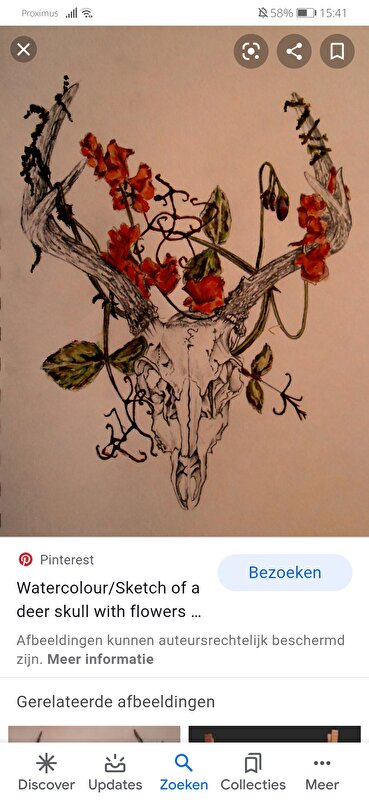 Afbeelding