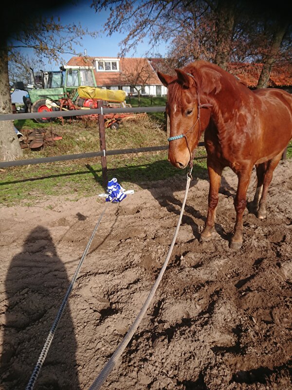 Afbeelding