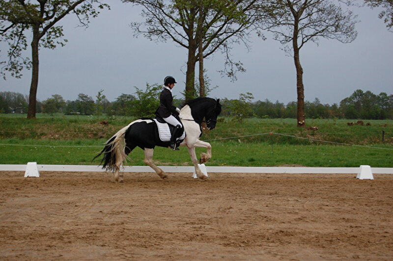 Afbeelding