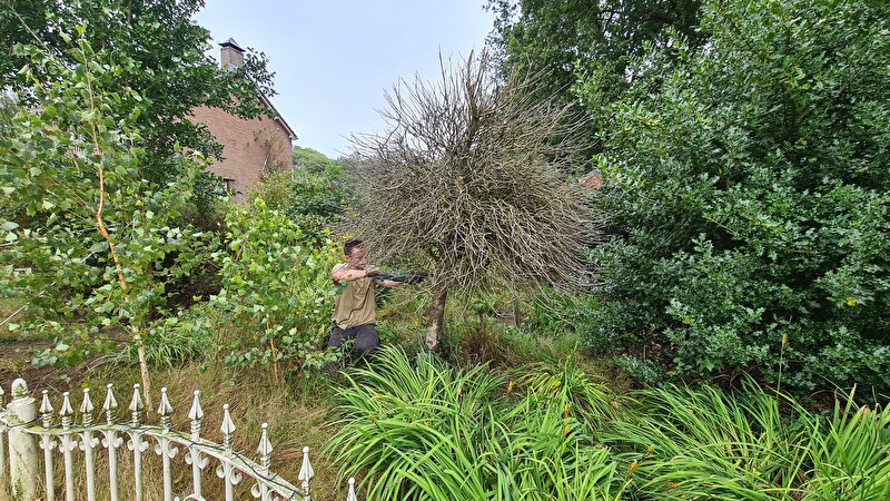 Afbeelding