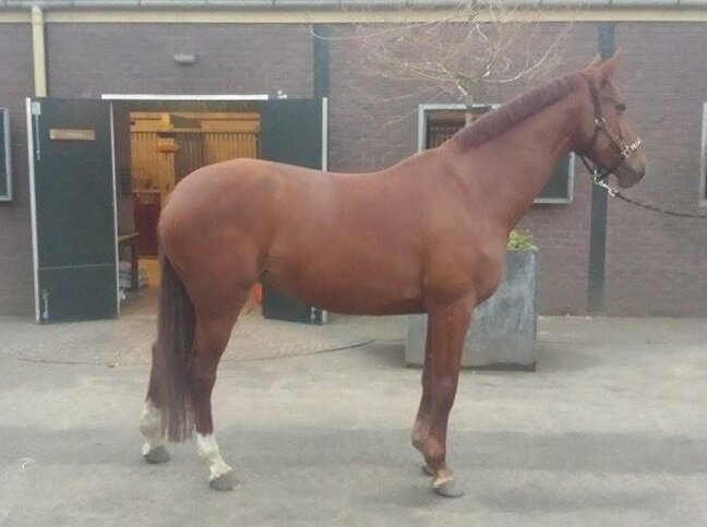 Afbeelding