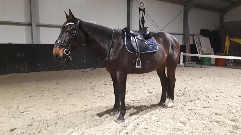 Afbeelding