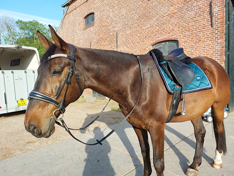 Afbeelding