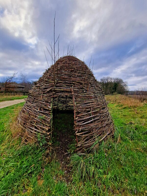 Afbeelding