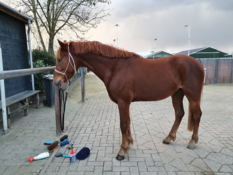 Afbeelding