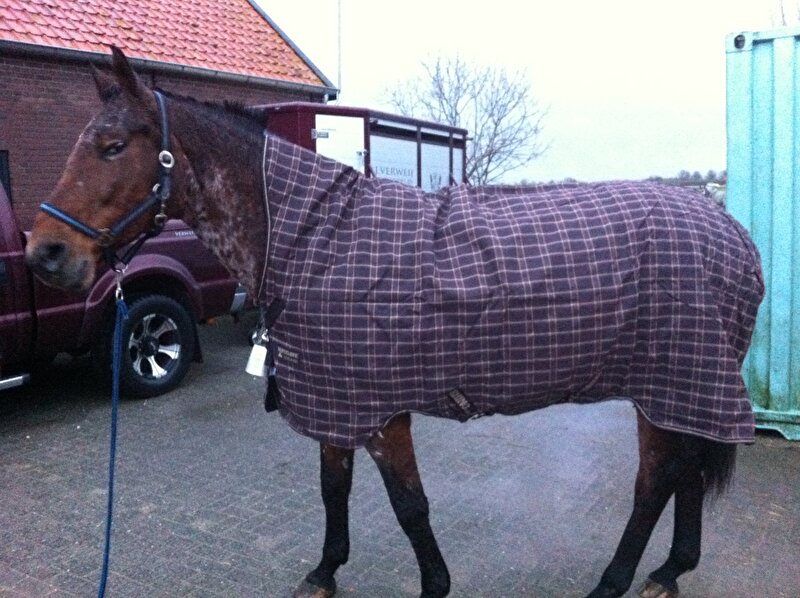 Afbeelding