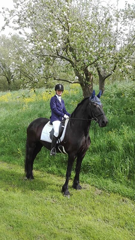 Afbeelding