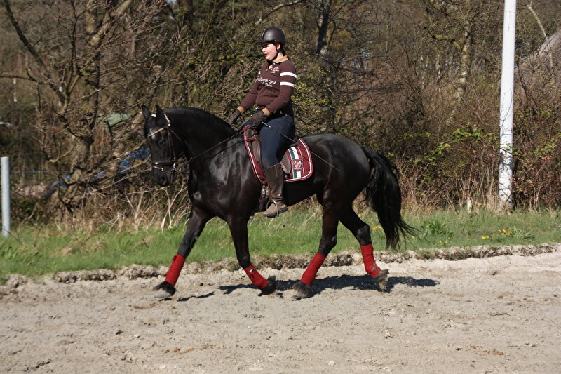 Afbeelding
