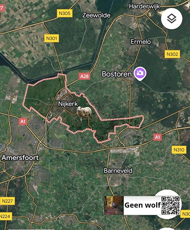 Afbeelding