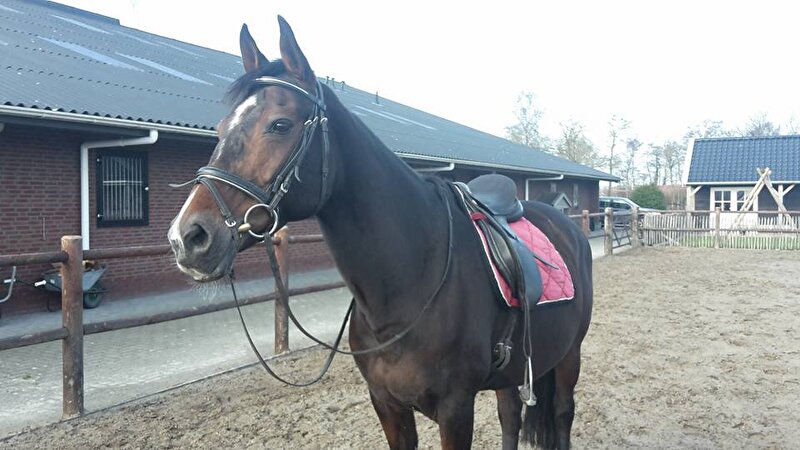 Afbeelding