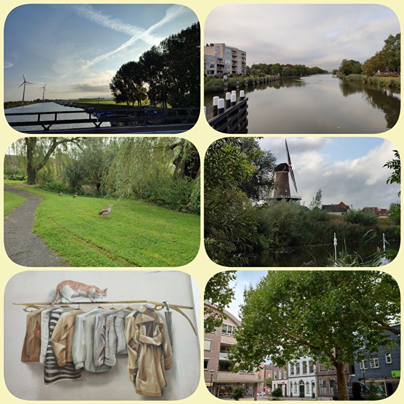 Afbeelding