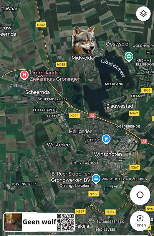 Afbeelding
