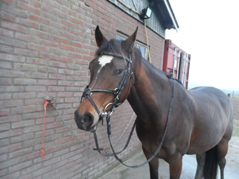 Afbeelding